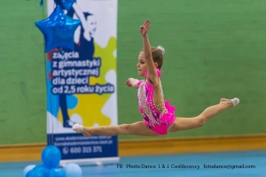 GIMNASTYKA ARTYSTYCZNA